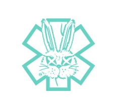 XSite Bunny